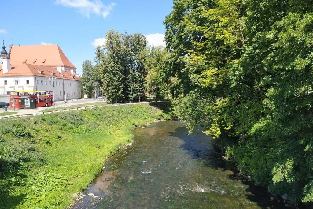 Апартаменты Historical Užupis & Old Town Apartment Вильнюс