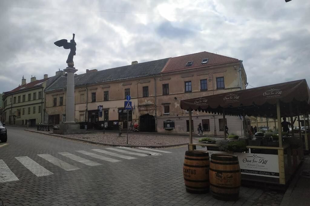 Апартаменты Historical Užupis & Old Town Apartment Вильнюс