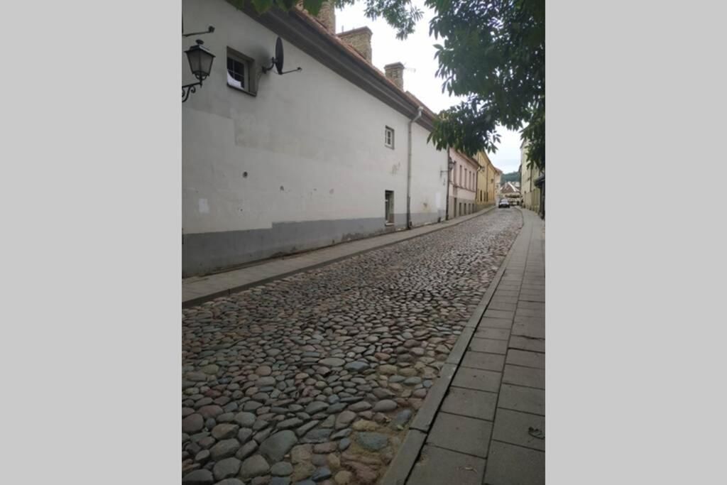 Апартаменты Historical Užupis & Old Town Apartment Вильнюс