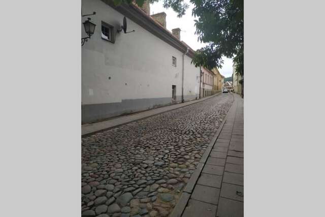 Апартаменты Historical Užupis & Old Town Apartment Вильнюс-20
